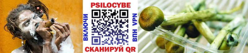цены   Чайковский  mega сайт  Галлюциногенные грибы GOLDEN TEACHER 